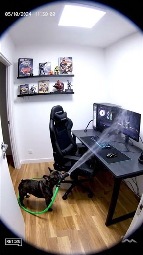 French thought daddy’s computer was dirty and gave it a bath..🤯