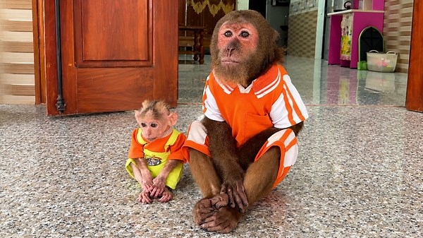 Emotional farewell happens as CUTIS and Buem leave with dad