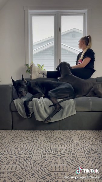 The dog life is a good life. 🐶 | dog