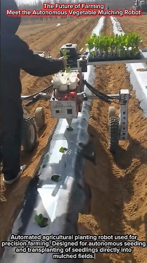 The Future of Farming | Meet the Autonomous Vegetable Mulching Robot