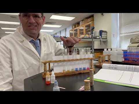 Lab 6 Thymol blue review