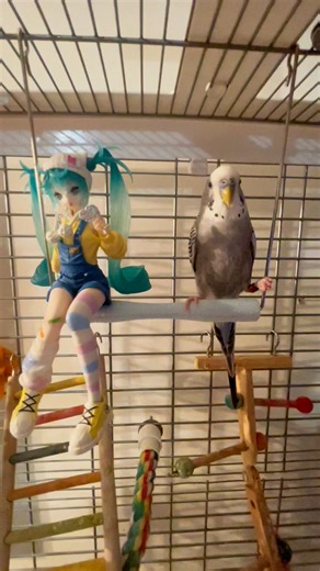 4.5K views · 141 reactions | First date he kinda shy | Inziewienzie Inziewienzie | Facebook