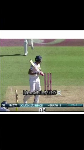 ✨️Mitchell Starc Vs Mens And Womens 🗿