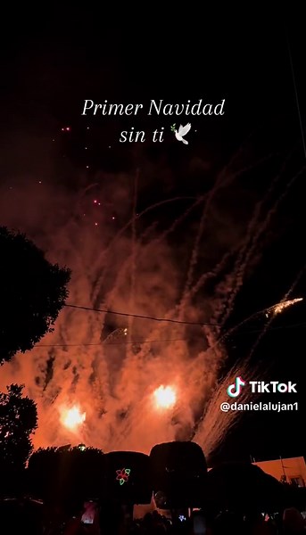 Físicamente no estarás, pero en mi corazón te llevare eternamente mi gordis #fantasmas #humbe #navidad #parati #navidadsinti #🕊️ #🕊️🤍