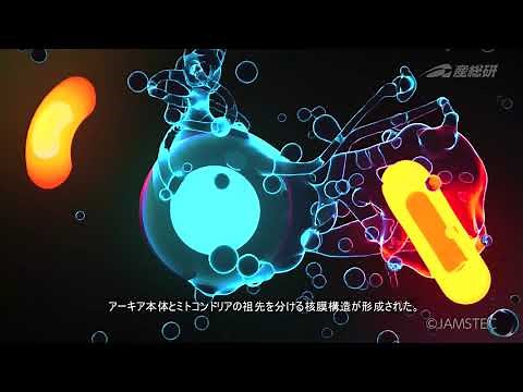 私たち真核生物はどうやって地球上に誕生したか－新しい進化説E3モデル－【産総研公式】