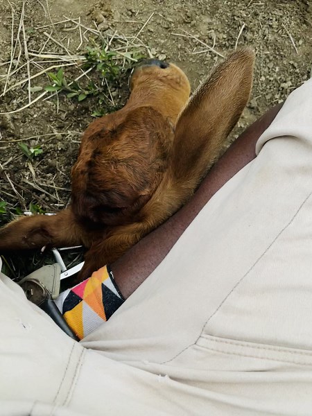 uYothwane (@uyothwane)’s videos with Umcebo - Sjava