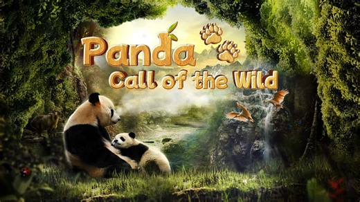 Panda: Call of the Wild