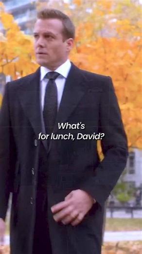 Explore the Dynamic Duo of Suits: Harvey and Mike