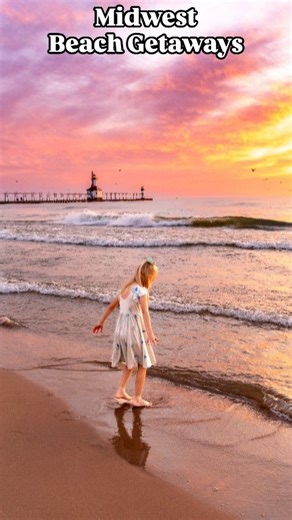 5.2K views · 60 reactions | ️ Can you believe these are in the...