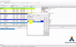 P6计划教程 32 作业码分组