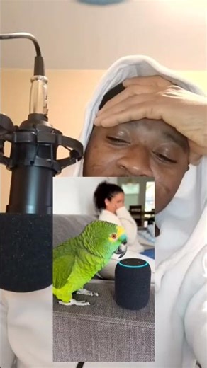 Alexa need a factory reset