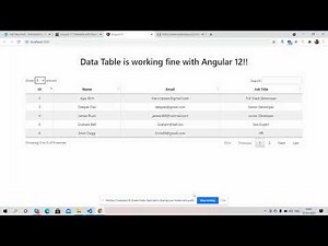 Angular 12 Data Table Working Demo