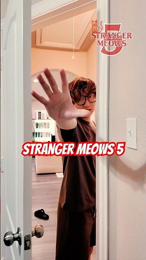 Stranger Meows 5 😼 #cat #funnycats #catlovers #strangerthings