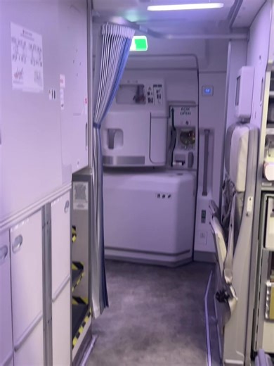 Exploring the Turkish Airlines A350 Aft Galley