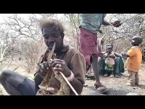Hadzabe Bushmen Hunting Technique Survival #wildlife #viral 