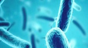 Physicists develop method to identify antibiotics-resistant bacteria, help in treating tuberculosis | The Times of India