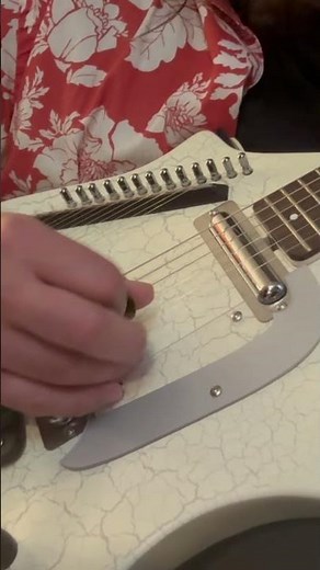 Danelectro coral sitar reissue. #electricsitar #danelectro