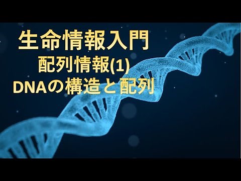 【生命情報入門】配列情報(1)：DNAの構造と配列