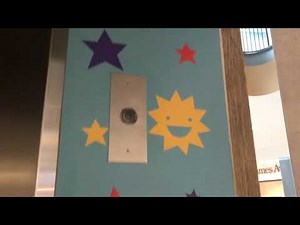 Elevator Bell Compilation (Summer 2020)