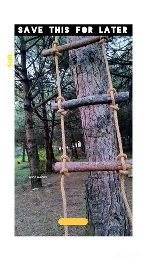 This Rope Ladder Trick Is Brilliant! No Nails, No Screws! 🪢🌳