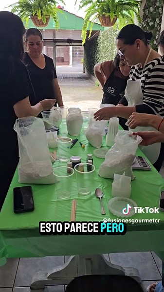 Fusiones Gourmet on TikTok