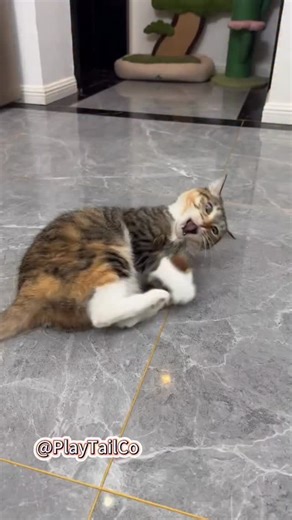 PlayTailCo | 🦜 ELECTRONIC CHIRPING BIRD TOY The purr-fect prey that never escapes: ✅ Realistic chirping sounds ✅ Play-dead mode when caught ✅... | Instagram