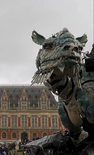 🦎 THE TRAVELING MONKEY - THE ODYSSEY 🦎