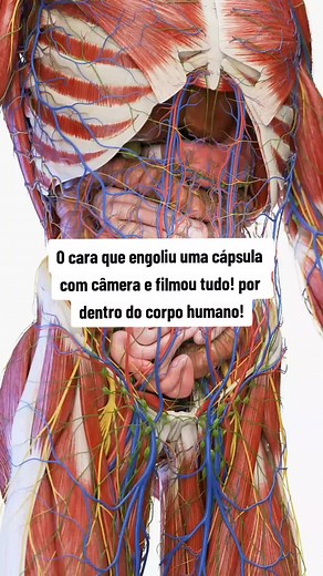 Explorando o corpo humano: A cápsula com câmera