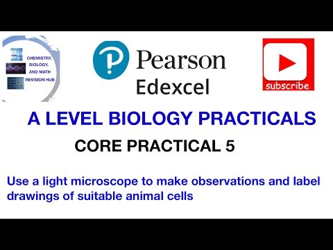 Using a microscope | observe, draw and label cells | Core practical 5