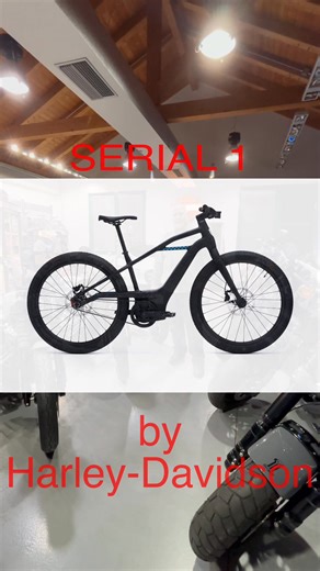 106 reactions · 3 comments | E-Bike Serial 1 by Harley-Davidson in omaggio | Harley-Davidson Portofino - 105 Decibel di Ivaldi Marco | Facebook