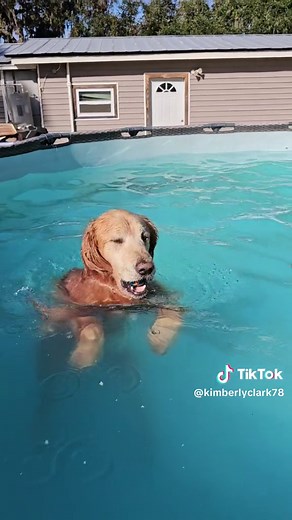 Kimberly Clark (@kimberlyclark78)’s videos with original sound - Kimberly Clark