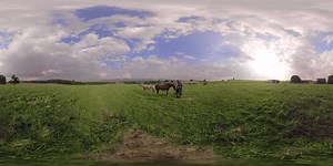 36K views · 130 reactions | Take a virtual tour of Riverhill Farms,...