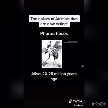 The noises of animals that are now extinct