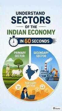 Sectors of the Indian Economy || Class 10 || NCERT Social Science