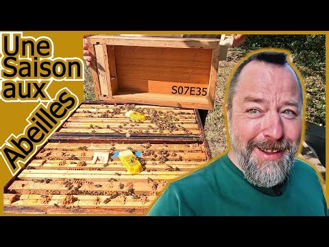 RE-DIVISION + PATTY SMITH [S07E35]