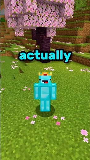 Minecraft Sonic Speedrun?! ⛏💎