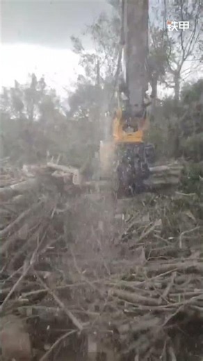 挖泥機：ZK--450夾帶据 #excavator #xcavator #hitachi #automobile