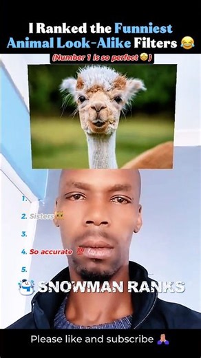 I Ranked the Funniest Animal Look-Alike Filters 😂 #shortsviral #funniestvideo #animalreactions