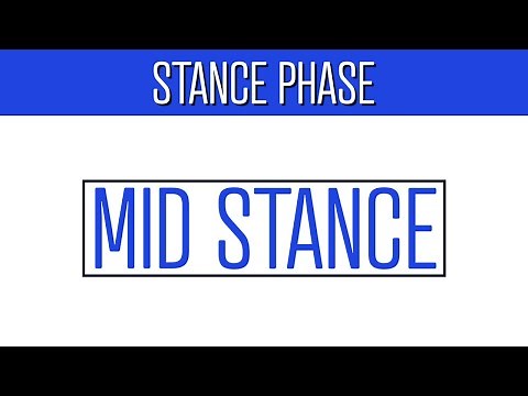 The Most Important Part of the Gait Cycle: Midstance