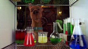Scooby Doo 2..avi