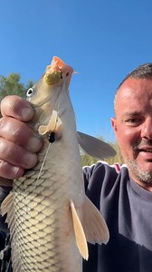 194K views · 2K reactions | Ciortaniada începutului de sezon, Deltă 2024  | Feeder X | Facebook