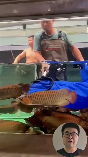 Fast Fish Pond Netting Process #Fishing #Aquaculture