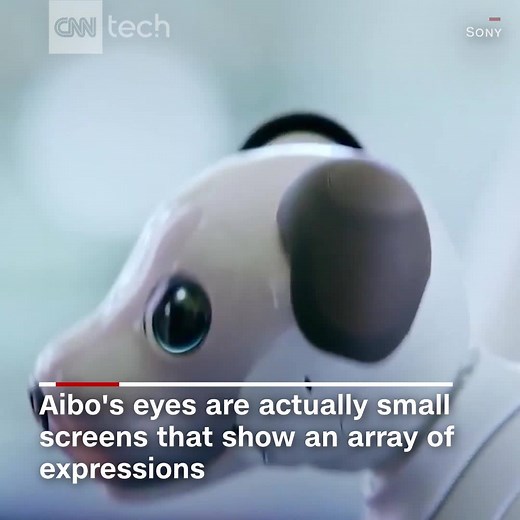 560K views · 1.8K reactions | Sony's new robot dog won't bite, but...