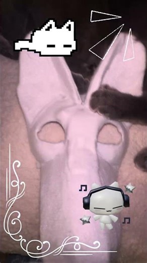 Maned wolf mask :D #furry #otherpaw