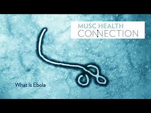 What Is Ebola? | MUSC Health Connection