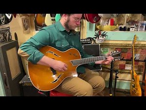 2007 Taylor T5 12-String acoustic/electric guitar