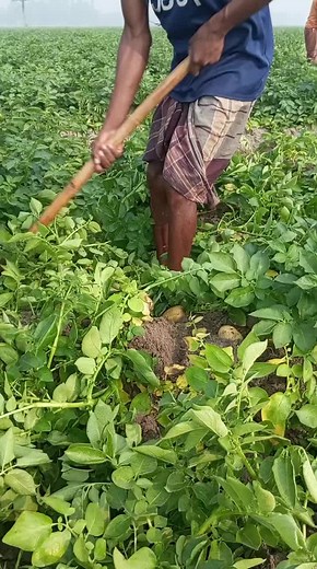 Modern Agriculture Technology in Nepal