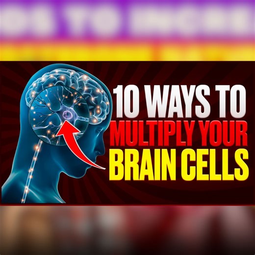 160K views · 3.3K reactions | 10 Proven Ways to Multiply Your Brain Cells and Boost Brainpower! #braincells #boost #brainpower #health #healthapta #healthtips | Healthapta | Facebook