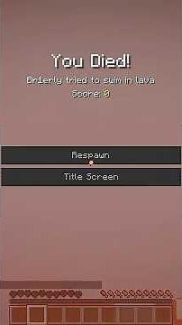 Minecraft But Its Really Fast