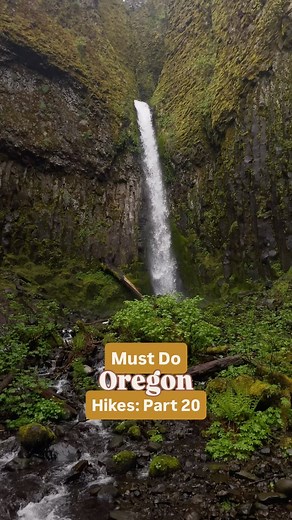 Must Do Oregon Hikes: Part 20! ✨ Save this underrated waterfall for your next hiking adventure! The Columbia Gorge is FULL of incredible waterfalls, but I think this one often gets over looked! I hiked this trail last spring with an awesome group of girls as a group hike with @voyageswithval and @theyellowjacketgirl . It starts right next to the Bridge of the Gods in Cascade Locks and is even part of the Pacific Crest Trail! It’s a pretty easy hike, most likely rated as moderate due to the dista